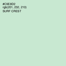 #C9E8D2 - Surf Crest Color Image